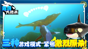 探索「渔帆暗涌」的独特魅力，带你感受不一样的航海冒险！